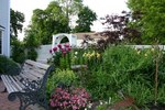 Enjoy our beautiful garden