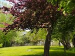 The large treed backyard is a park-like setting and includes a sitting area with BBQ to enjoy an afternoon meal outdoors.  Smoking is permitted outside only.