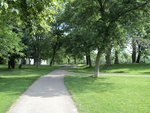 Walking paths through The Commons