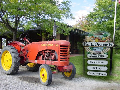 Kurtz Orchards Farm and Marketplace