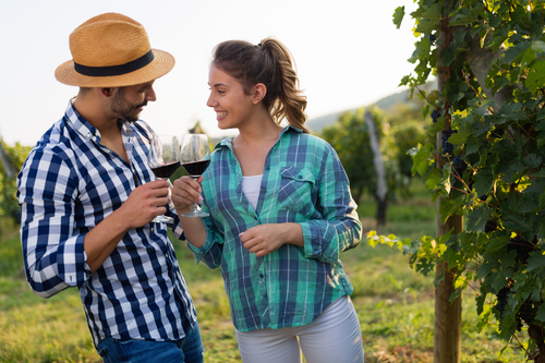 Top 5 Instagram-worthy Stops On Our Niagara Wine Tour