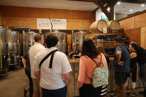 Wine Tasting 101: Learn To Taste Like A Pro On A Niagara Wine Tour