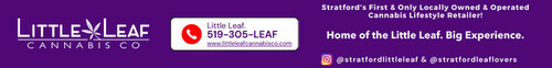 Little Leaf Banner Ad